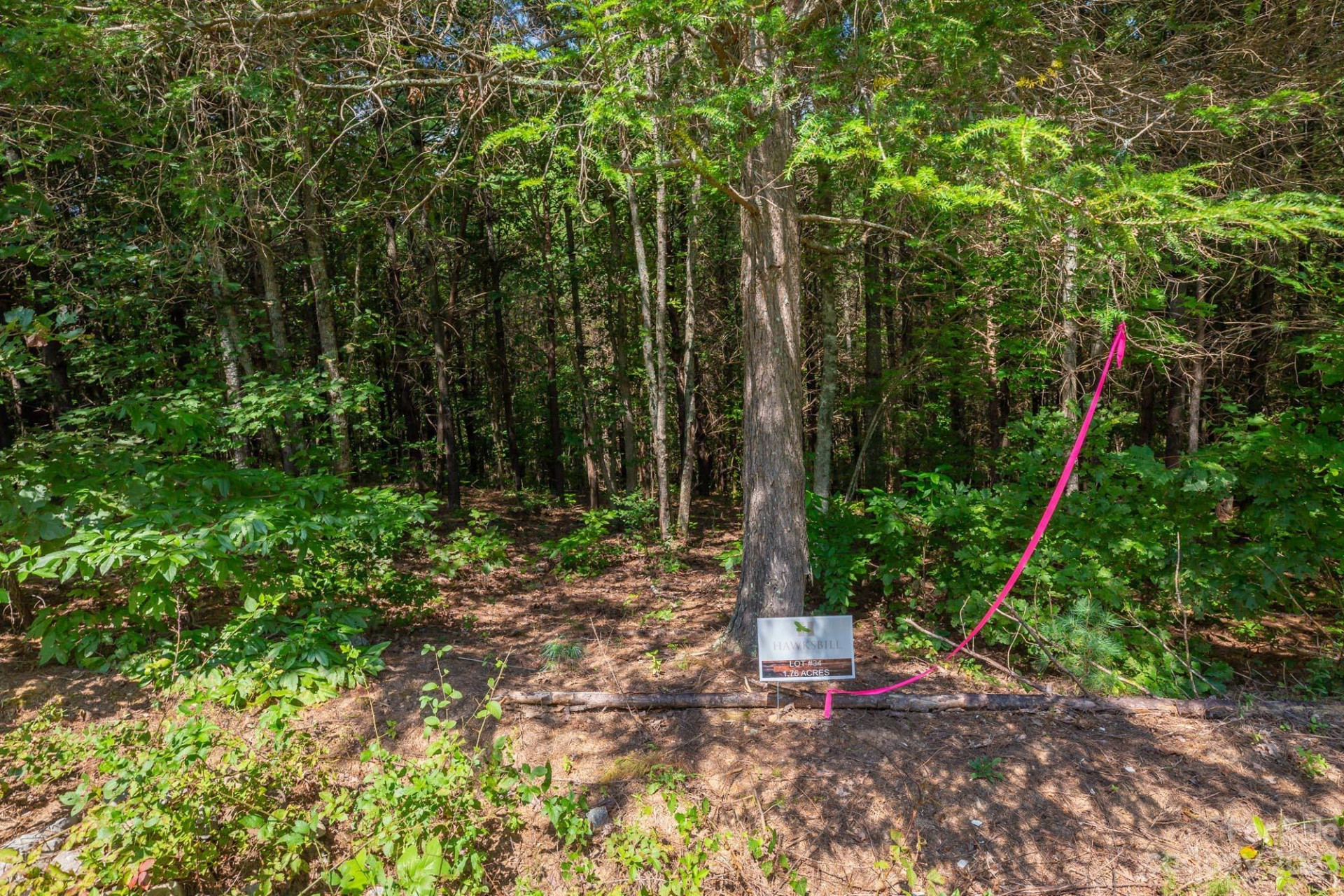 1077 Greene Court #34 - Photo 5