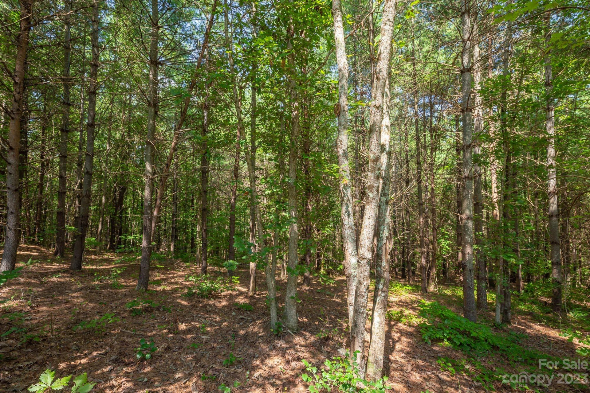 1077 Greene Court #34 - Photo 6