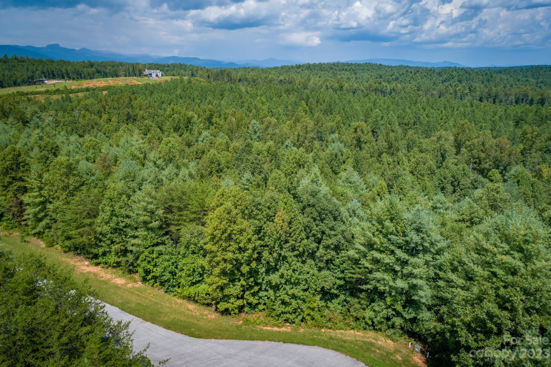 1113 Greene Court #36 - Photo 4