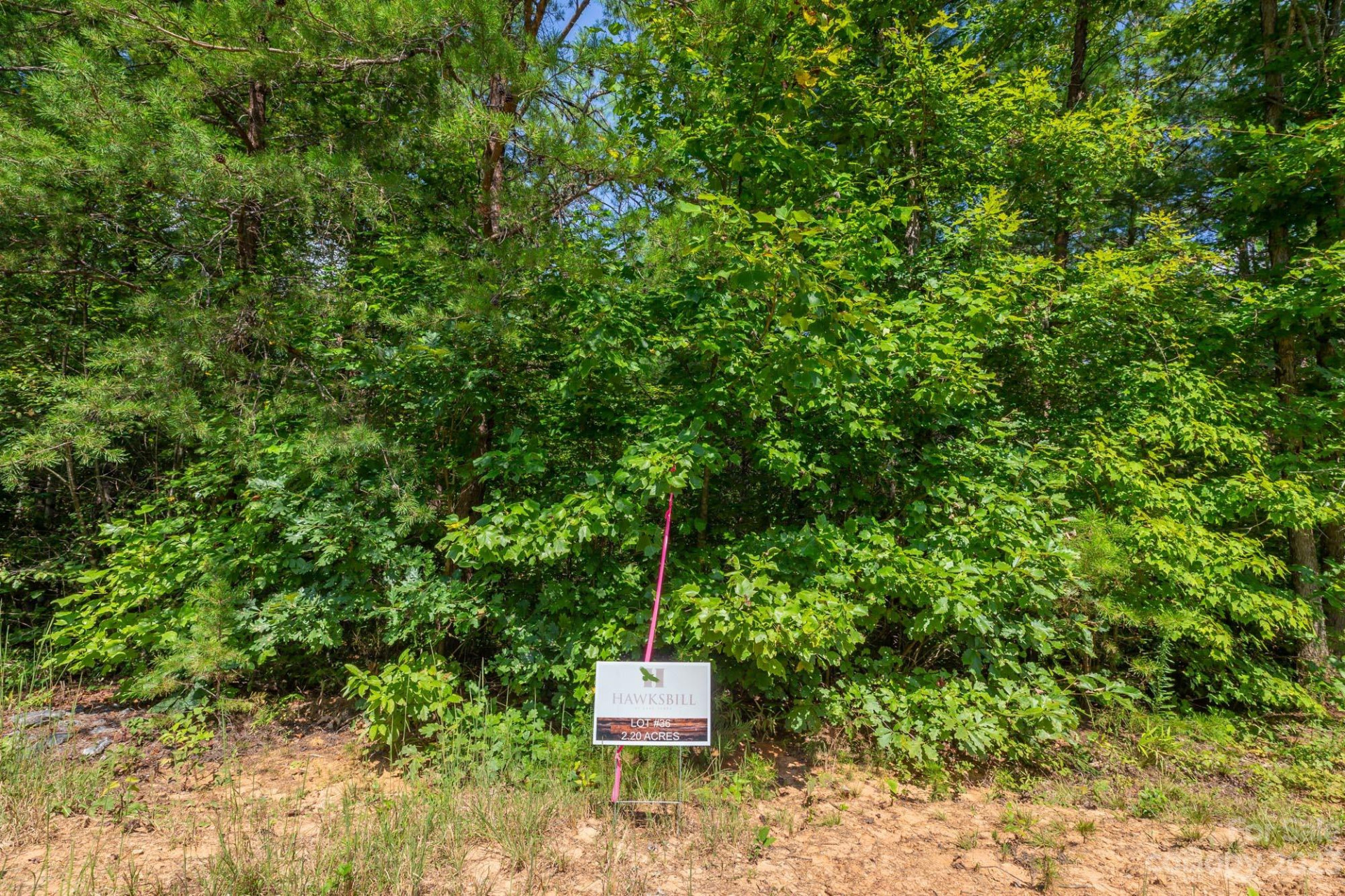 1113 Greene Court #36 - Photo 5