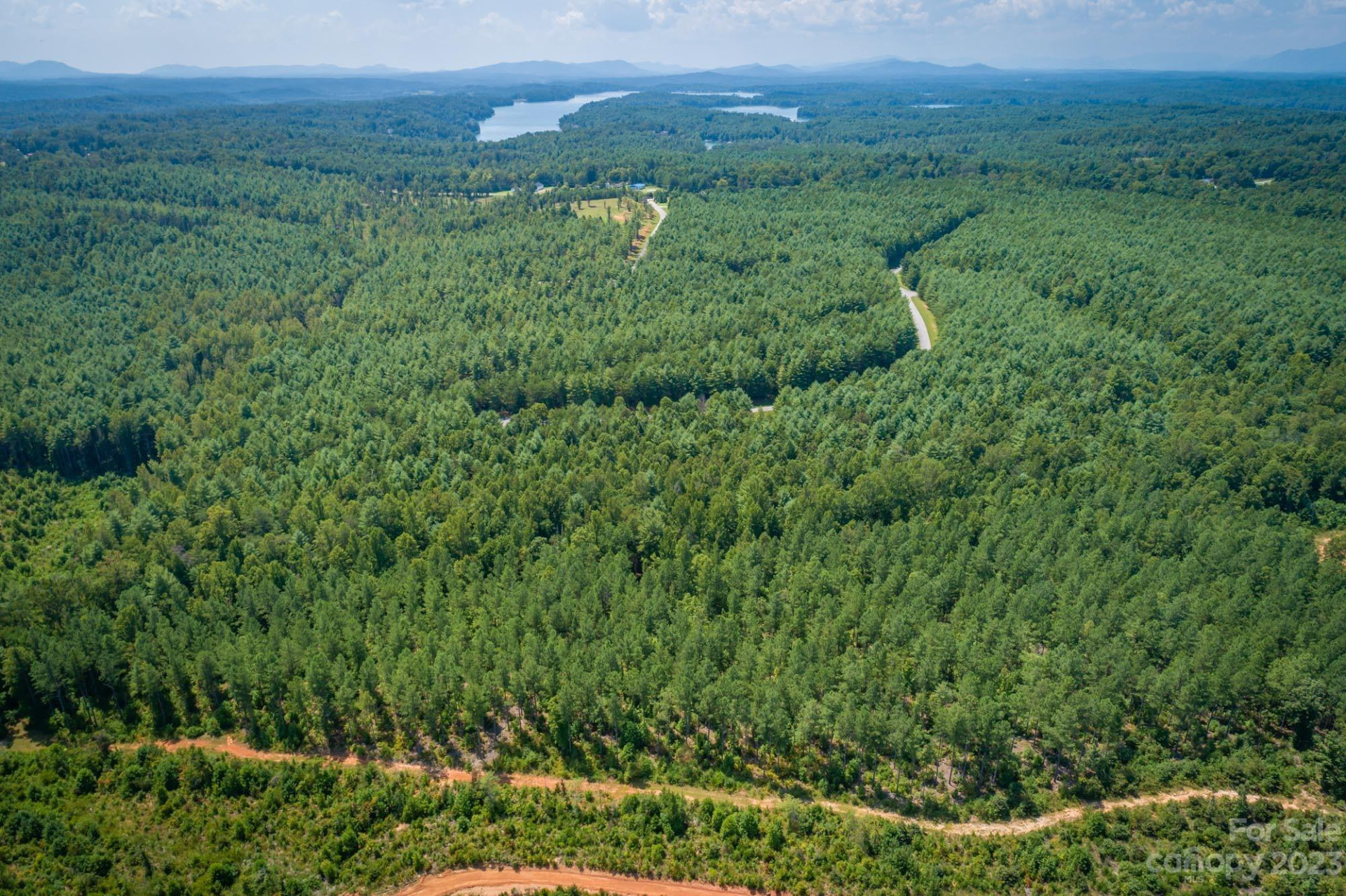 1101 Greene Court #35 - Photo 2