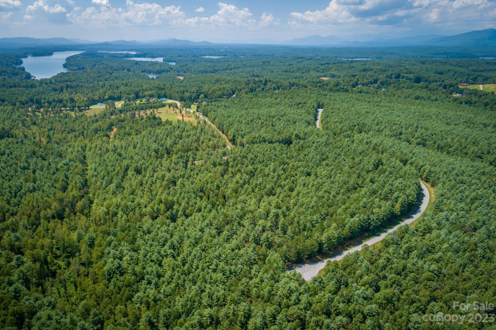 1101 Greene Court #35 - Photo 3