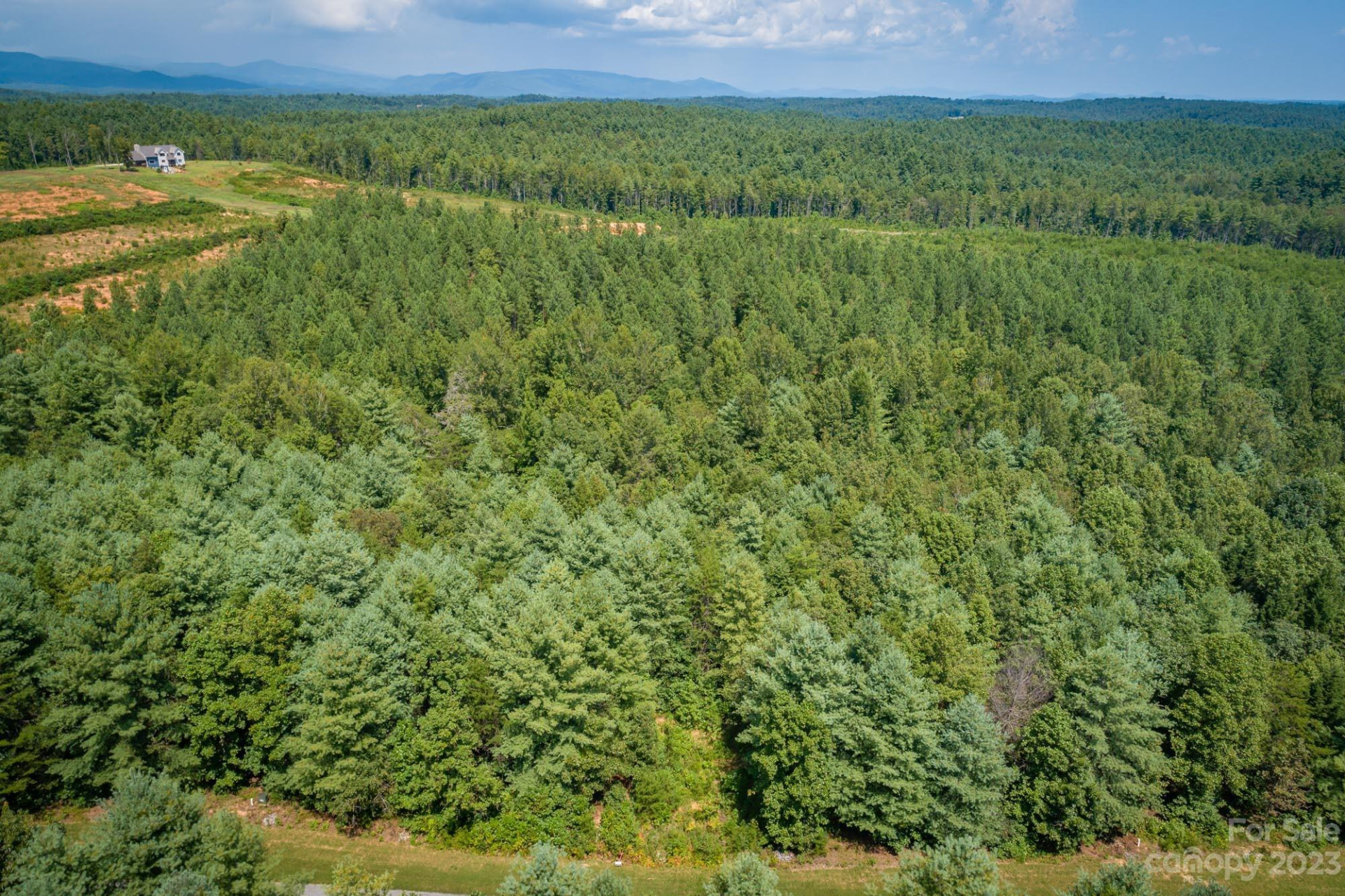 1101 Greene Court #35 - Photo 4