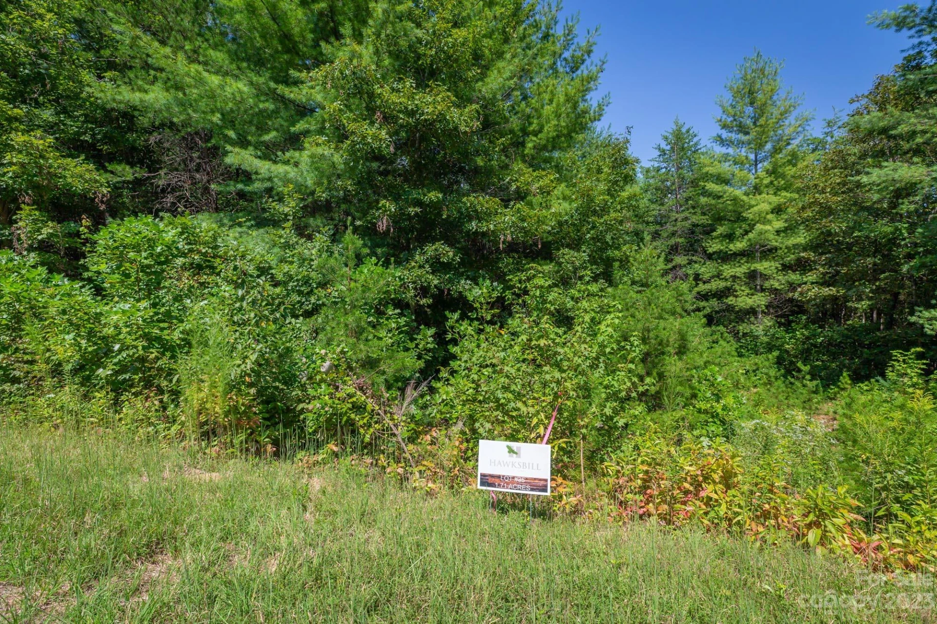 1101 Greene Court #35 - Photo 5