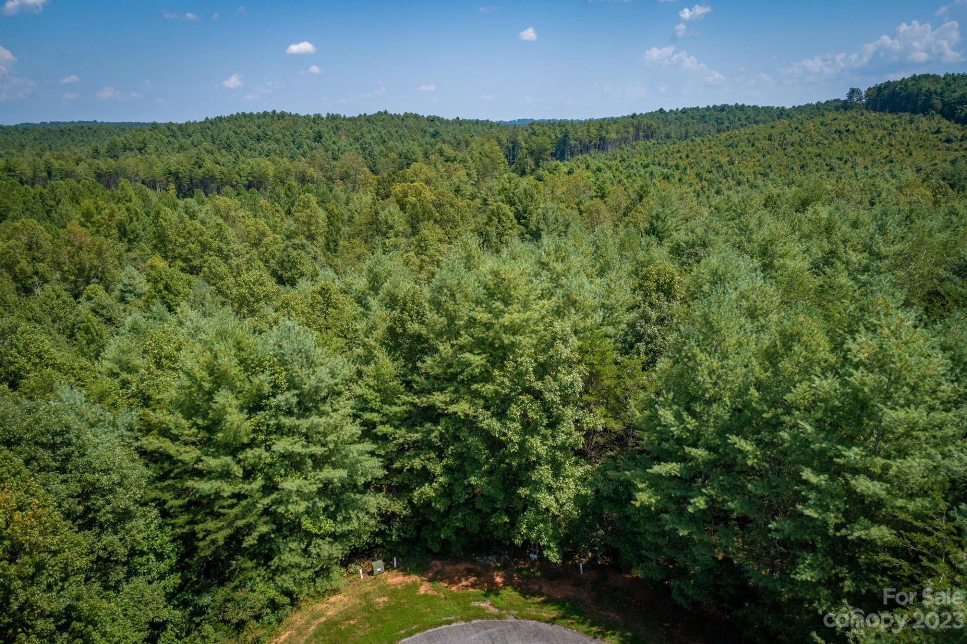 1119 Greene Court #37 - Photo 4