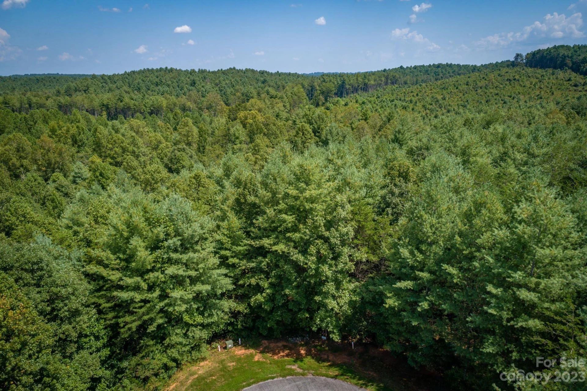 1119 Greene Court #37 - Photo 4