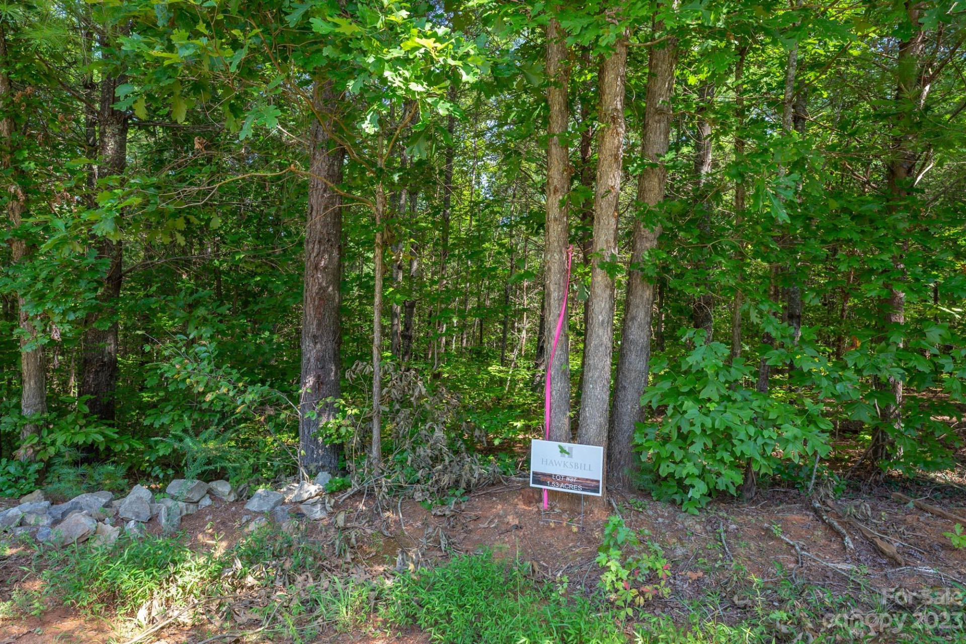 1119 Greene Court #37 - Photo 5