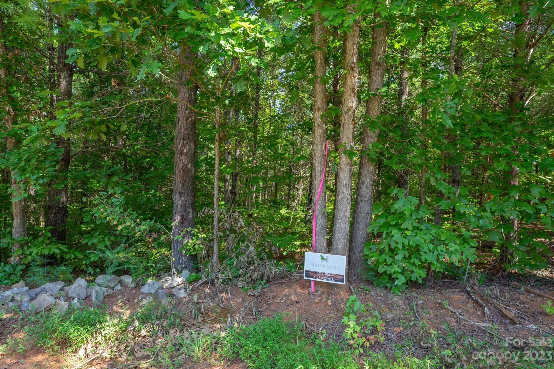 1119 Greene Court #37 - Photo 5