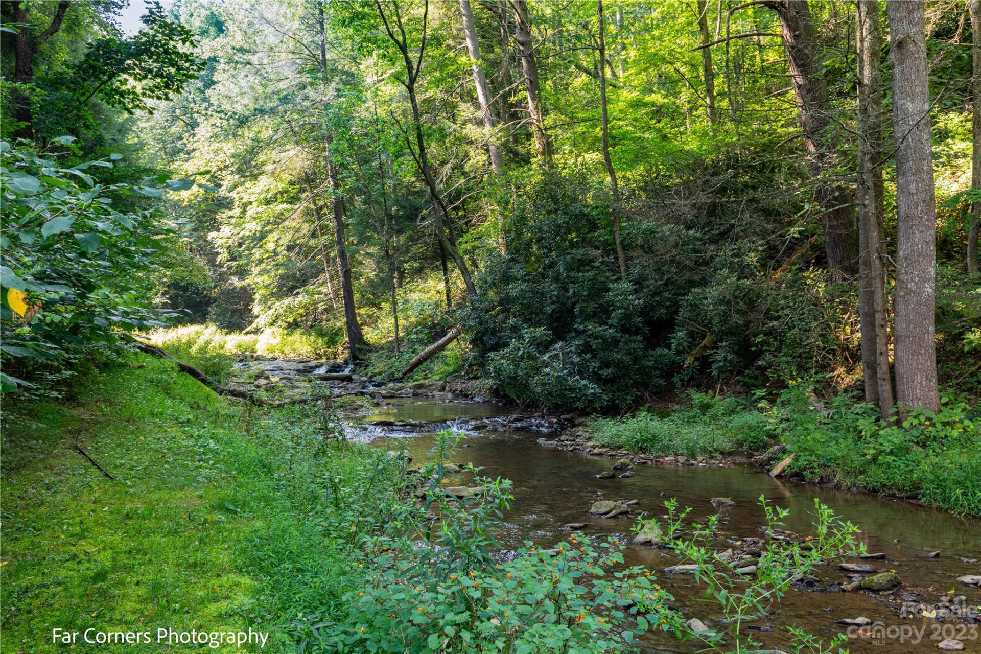 228 Chestnut Mountain Road - Photo 4