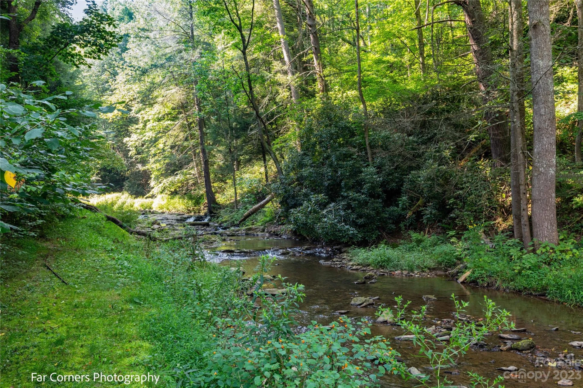 228 Chestnut Mountain Road - Photo 4