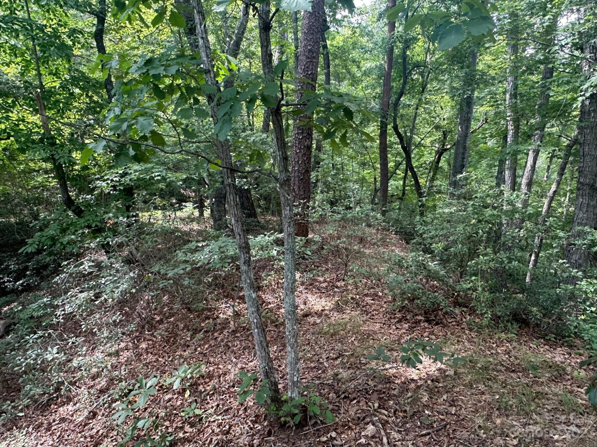 0000 Justice Drive - Photo 2