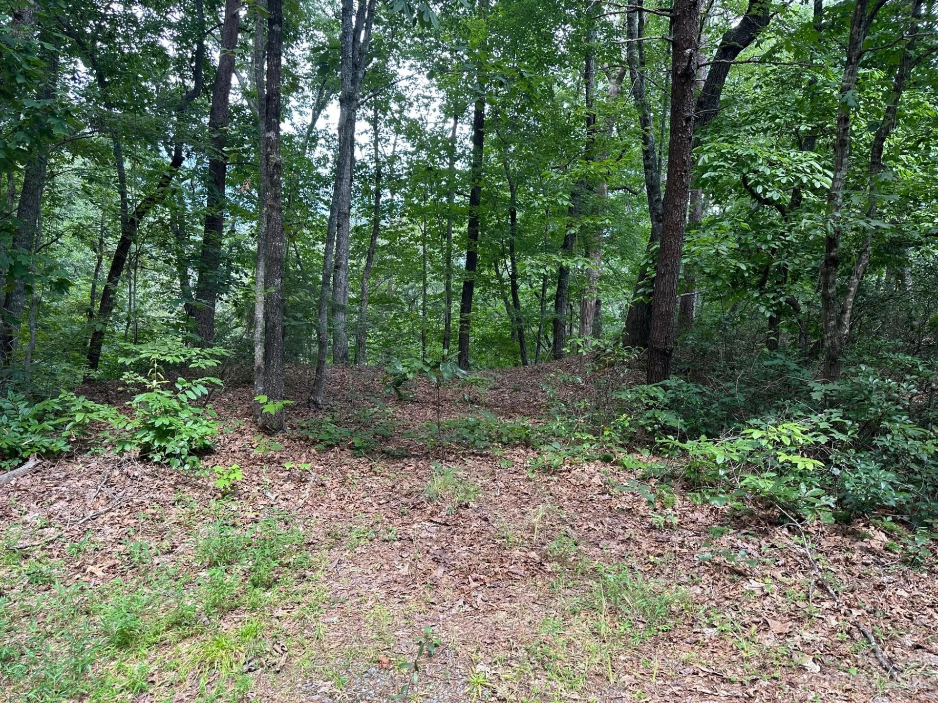 0000 Justice Drive - Photo 11