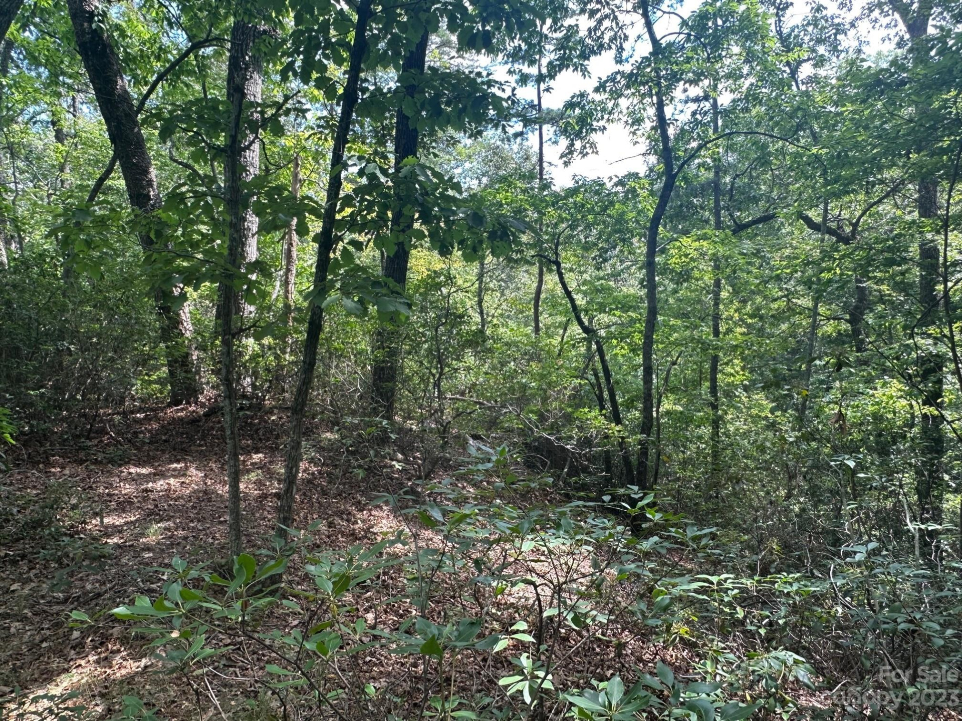 0000 Justice Drive - Photo 13