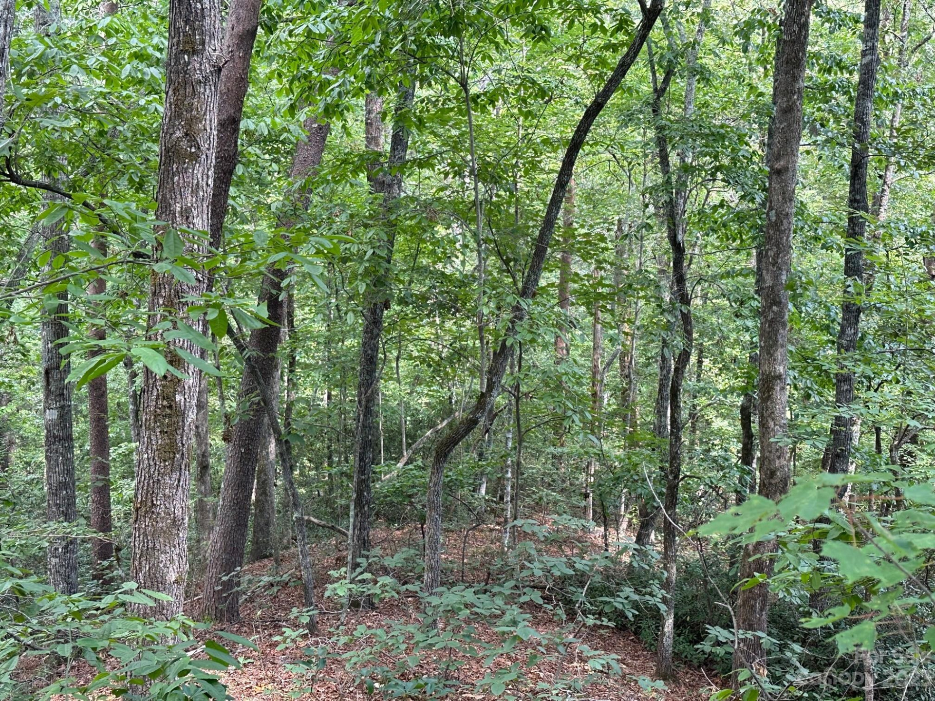 0000 Justice Drive - Photo 17