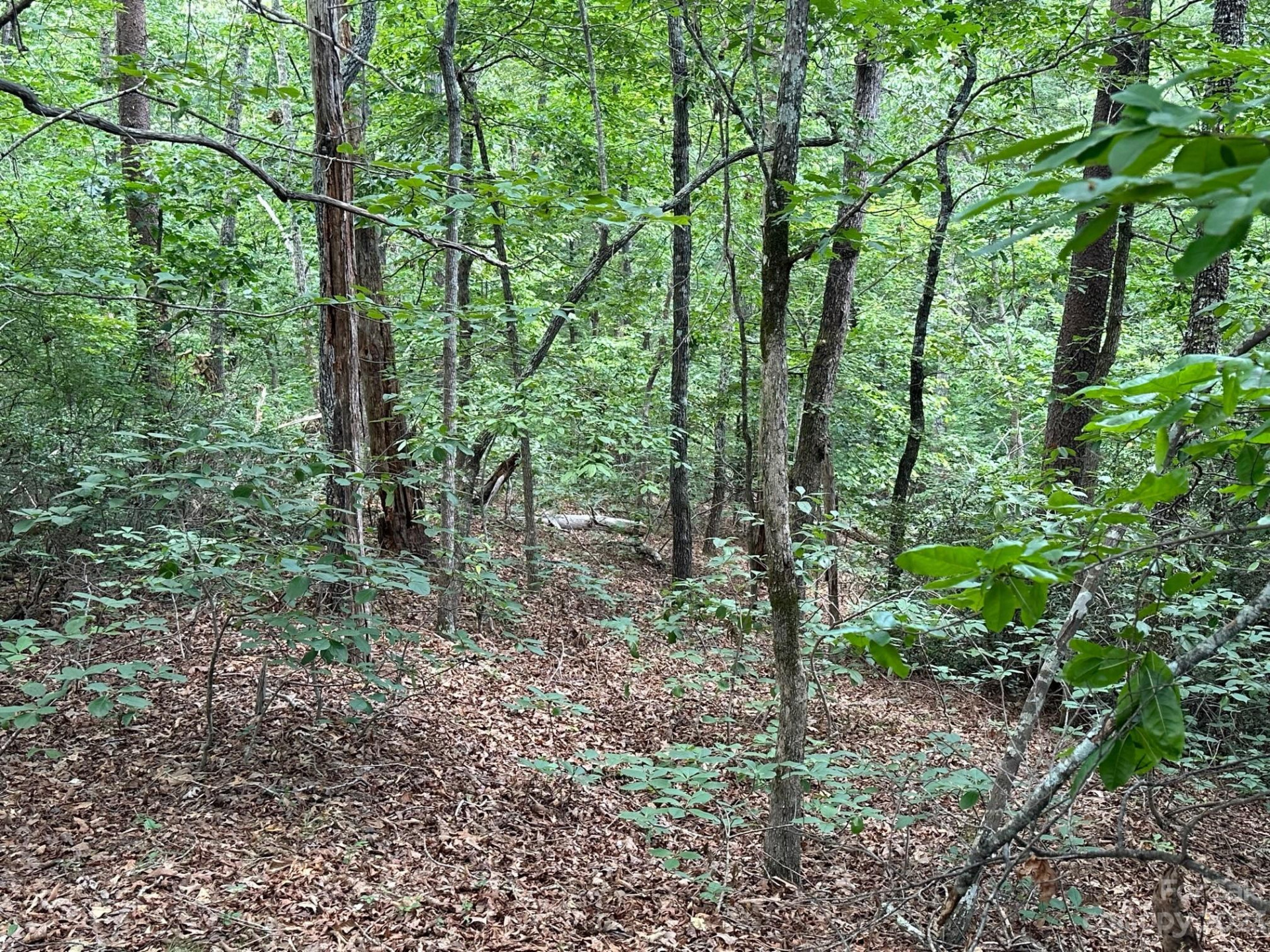 0000 Justice Drive - Photo 18