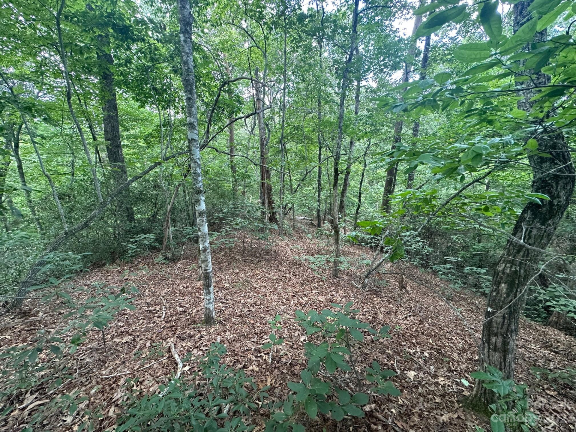 0000 Justice Drive - Photo 3