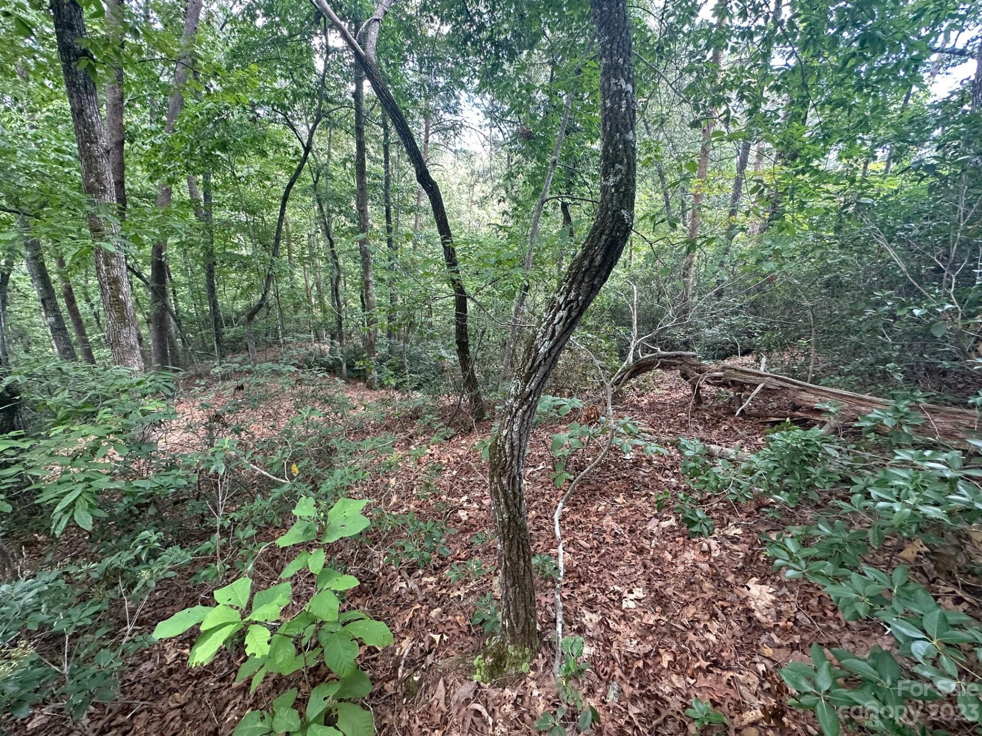 0000 Justice Drive - Photo 21