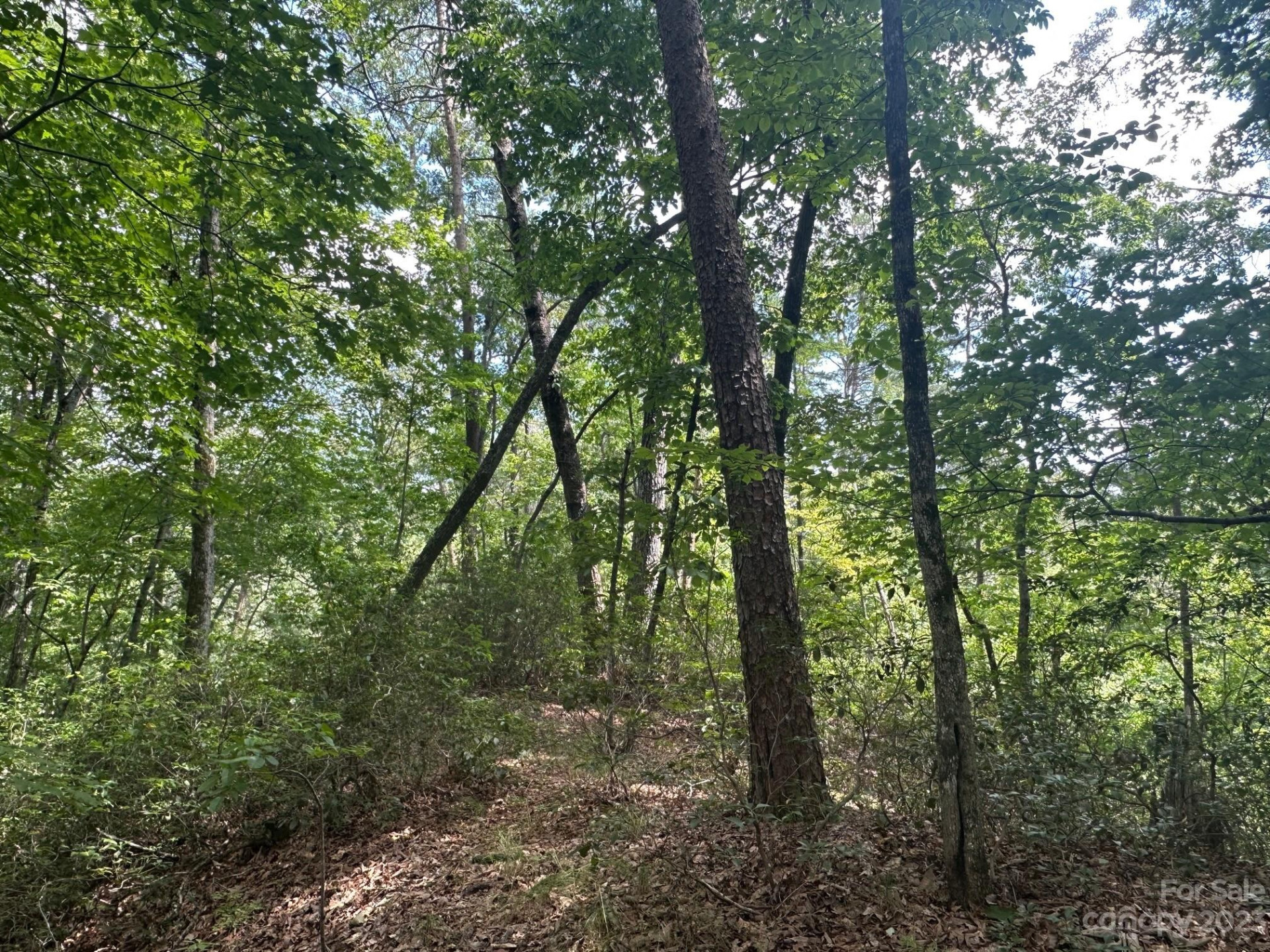 0000 Justice Drive - Photo 22