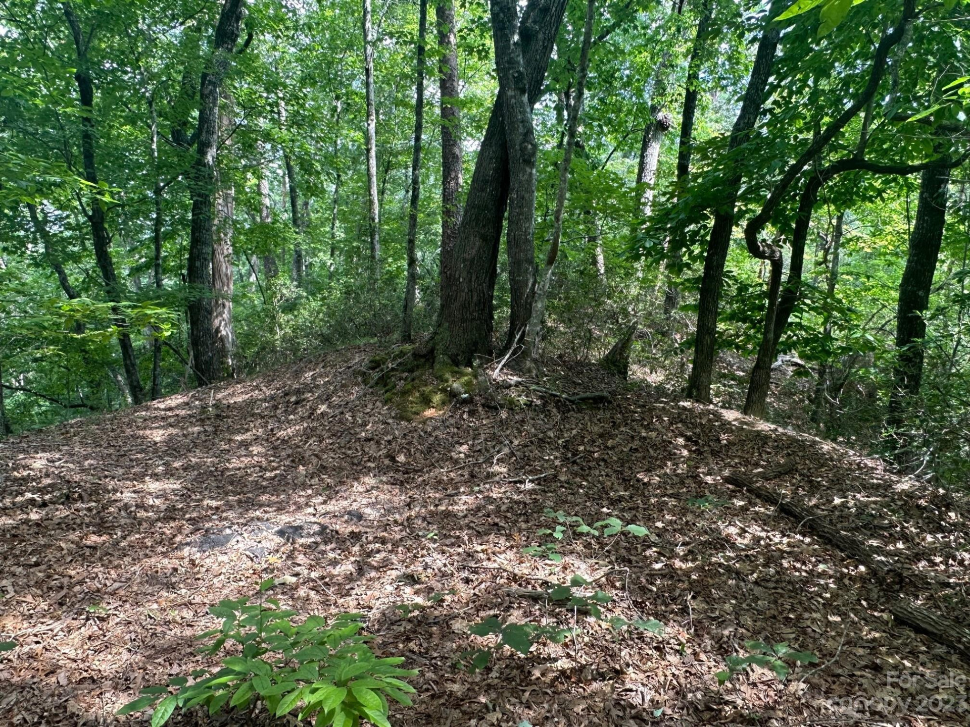 0000 Justice Drive - Photo 5