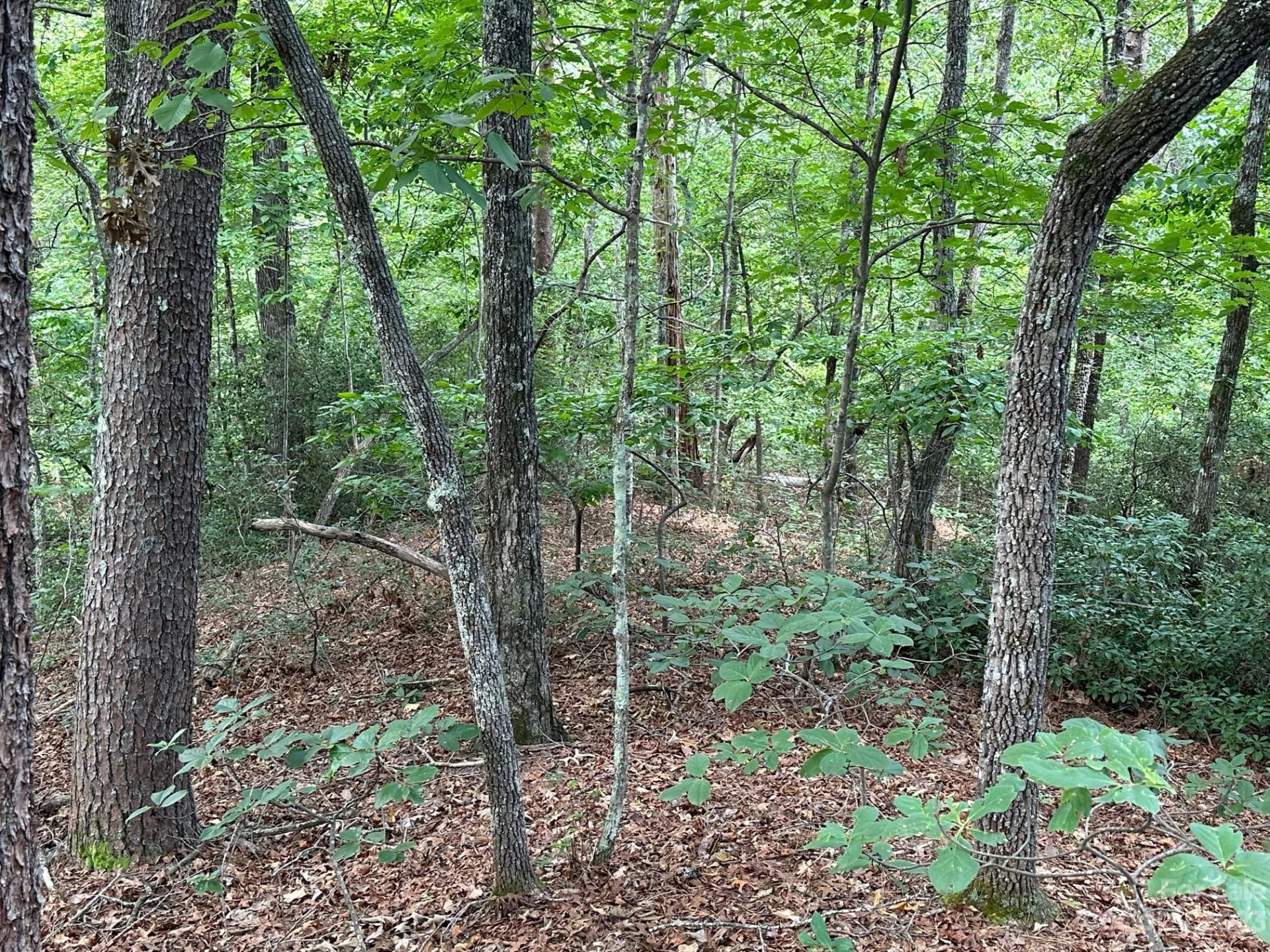 0000 Justice Drive - Photo 6