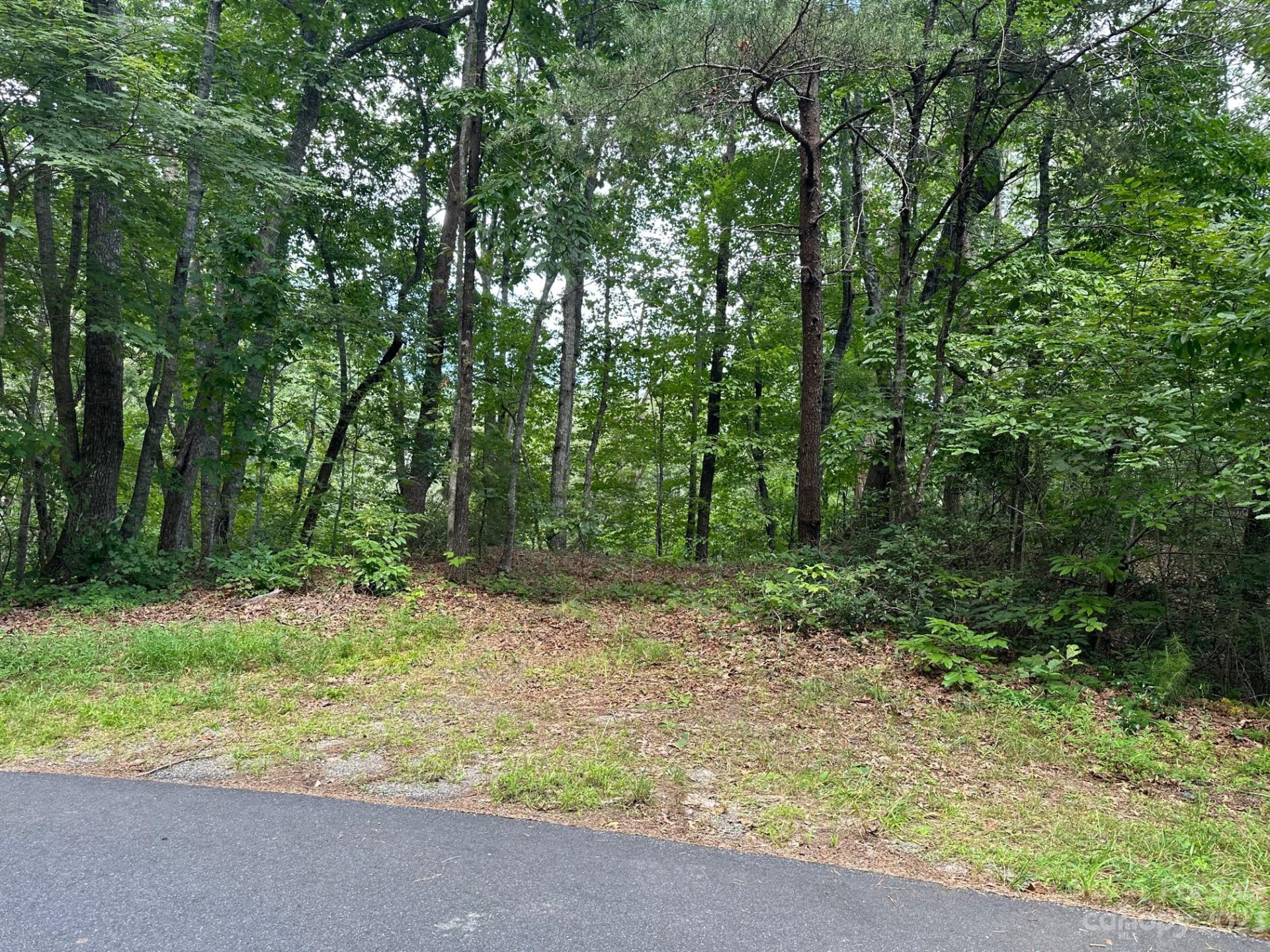 0000 Justice Drive - Photo 7