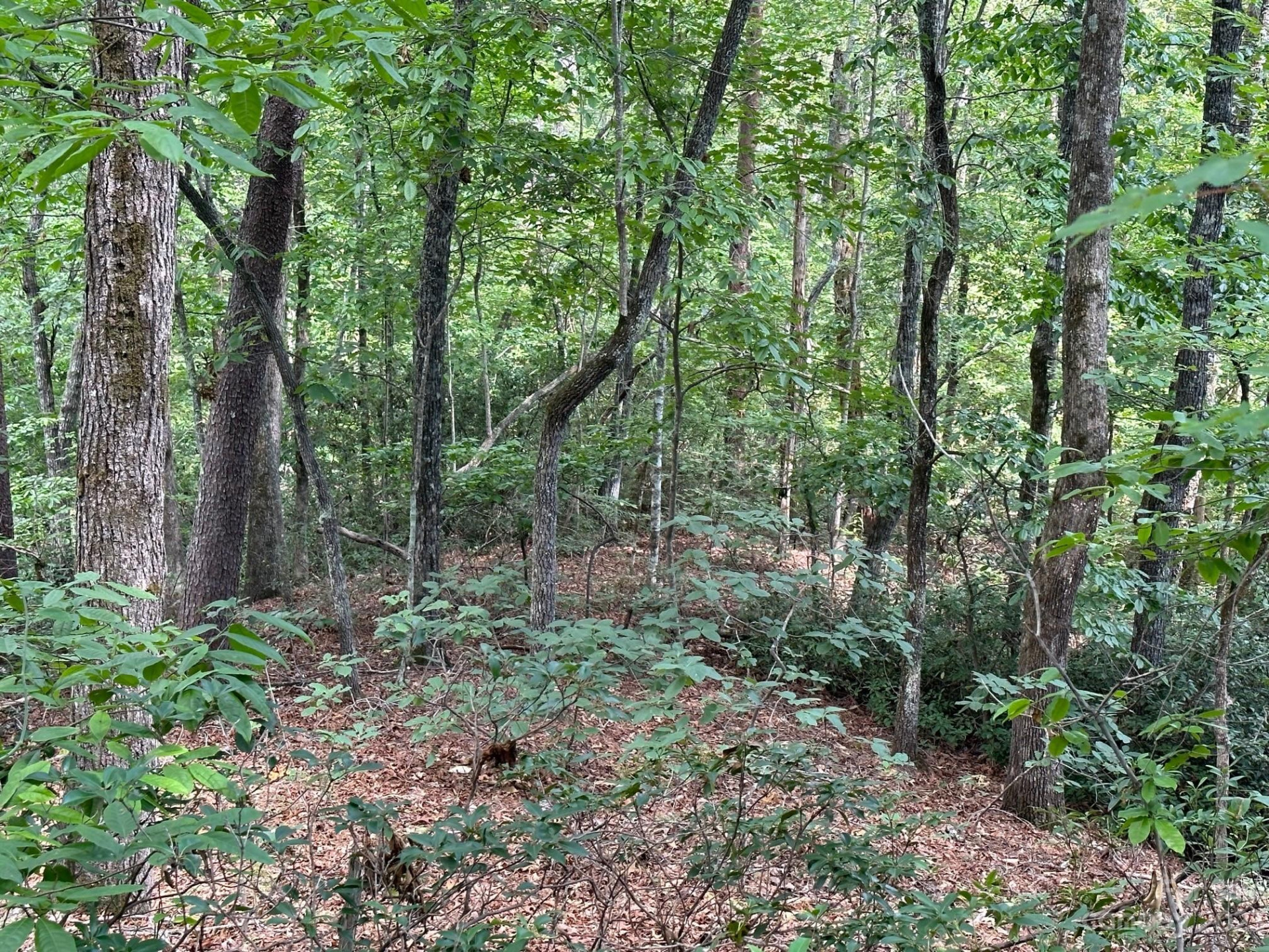 0000 Justice Drive - Photo 8