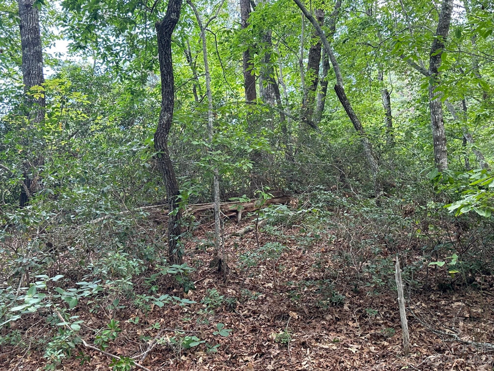 0000 Justice Drive - Photo 10