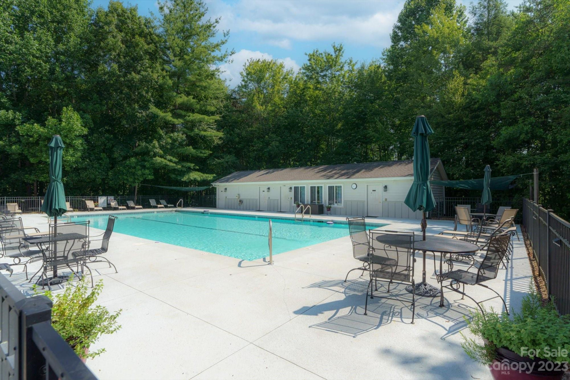 317 Boundary Tree Pass #14 - Photo 2