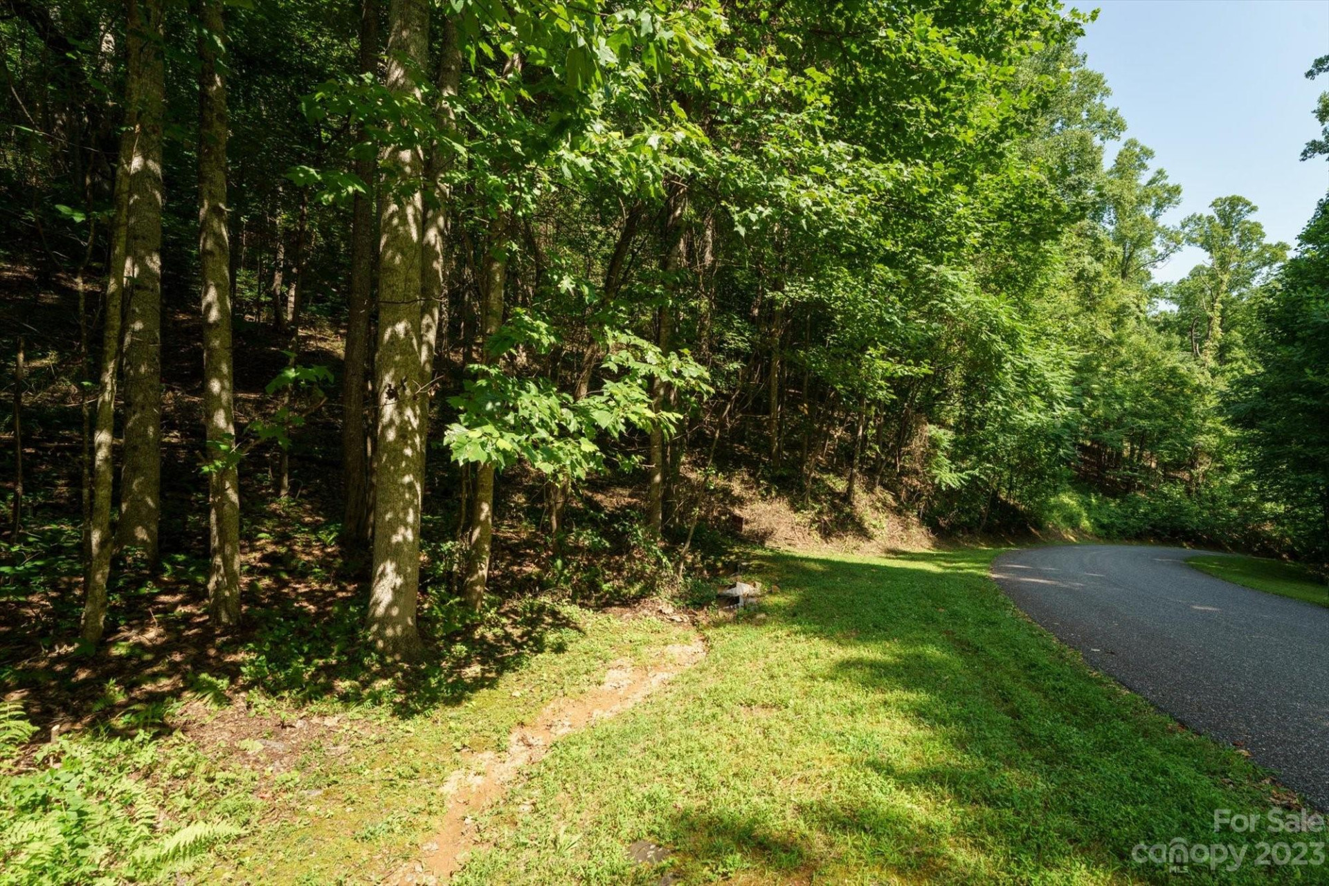 317 Boundary Tree Pass #14 - Photo 11