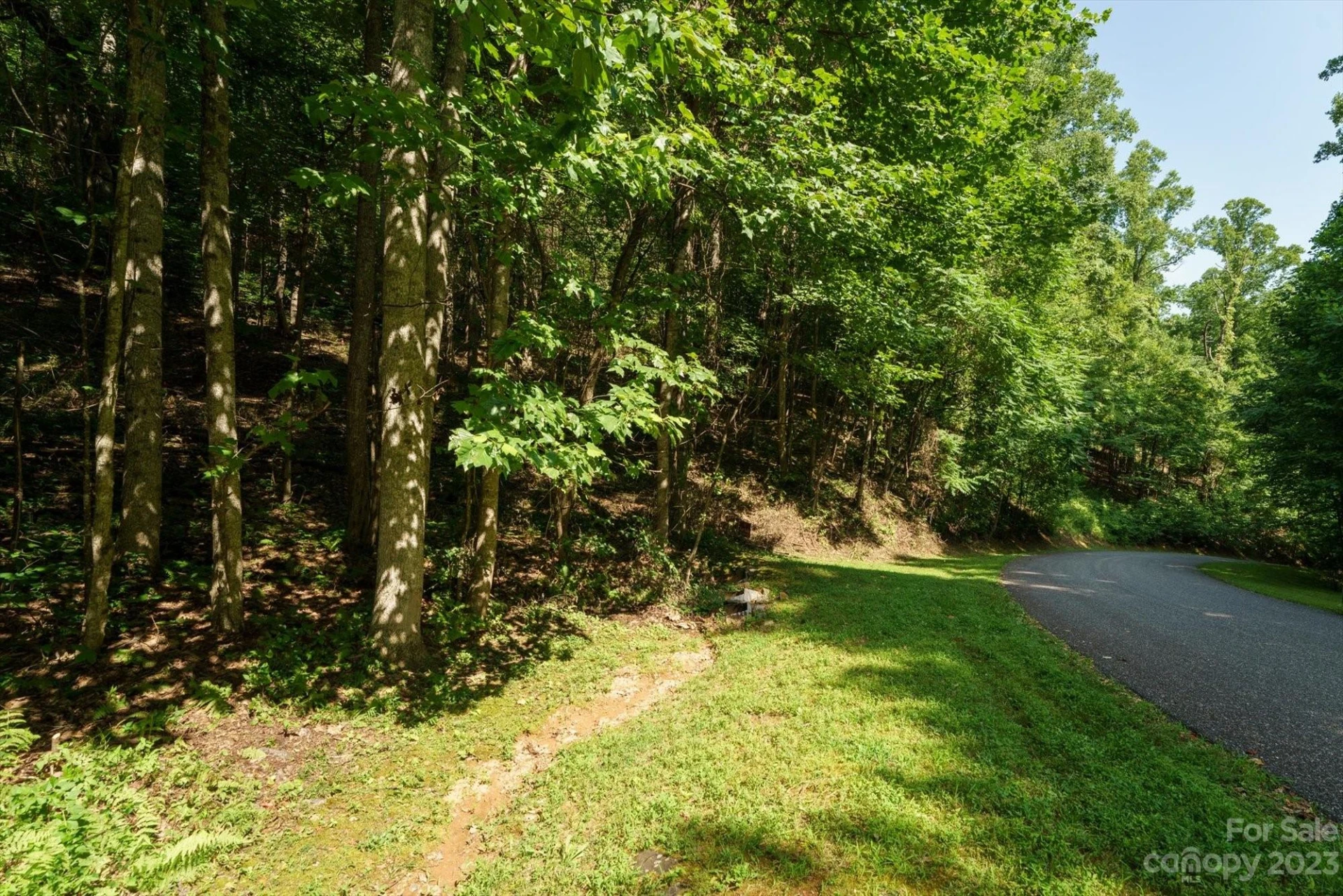 317 Boundary Tree Pass #14 - Photo 11