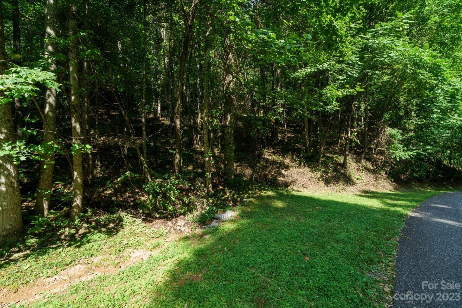 317 Boundary Tree Pass #14 - Photo 12