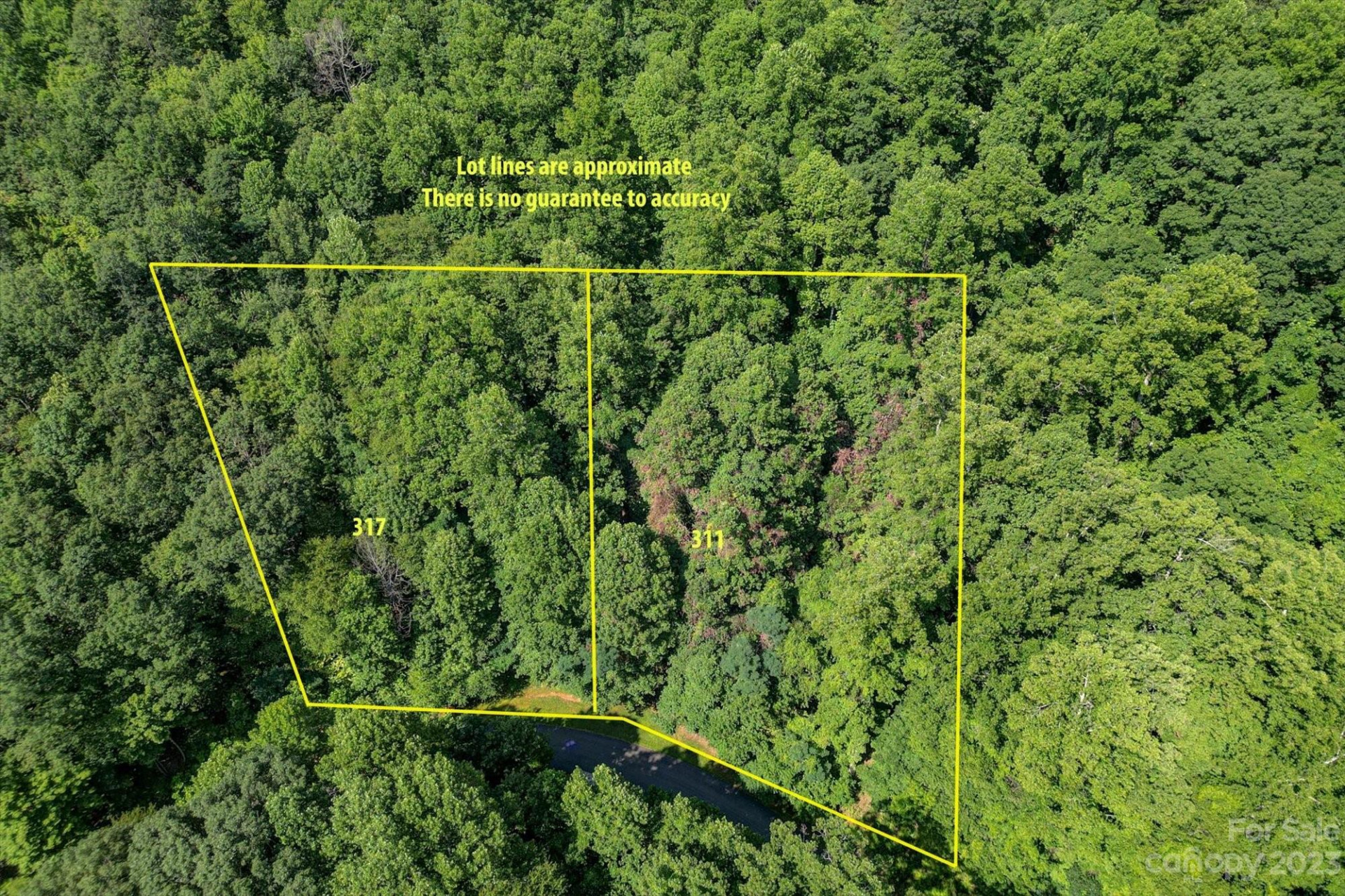 317 Boundary Tree Pass #14 - Photo 13