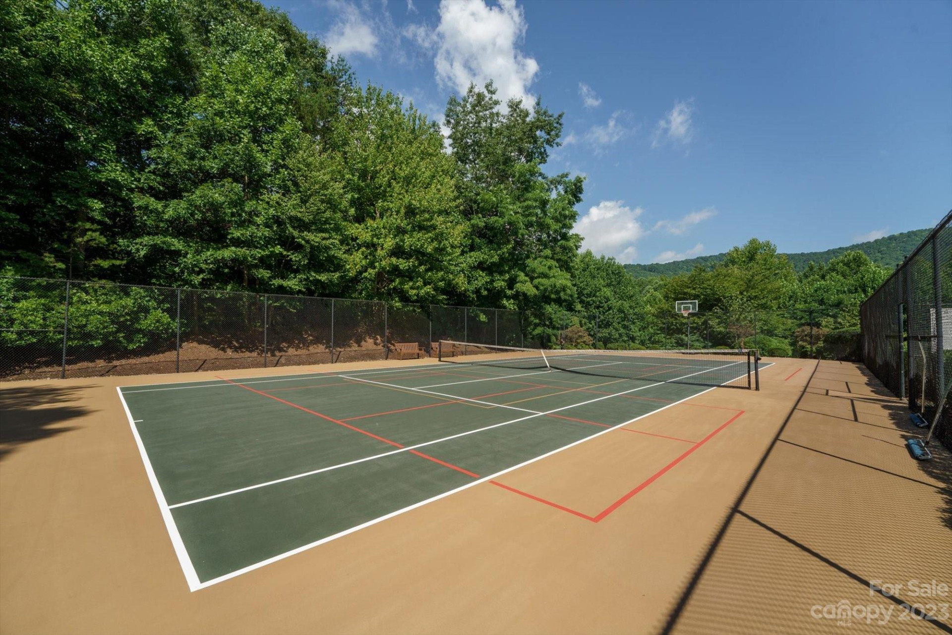 317 Boundary Tree Pass #14 - Photo 4