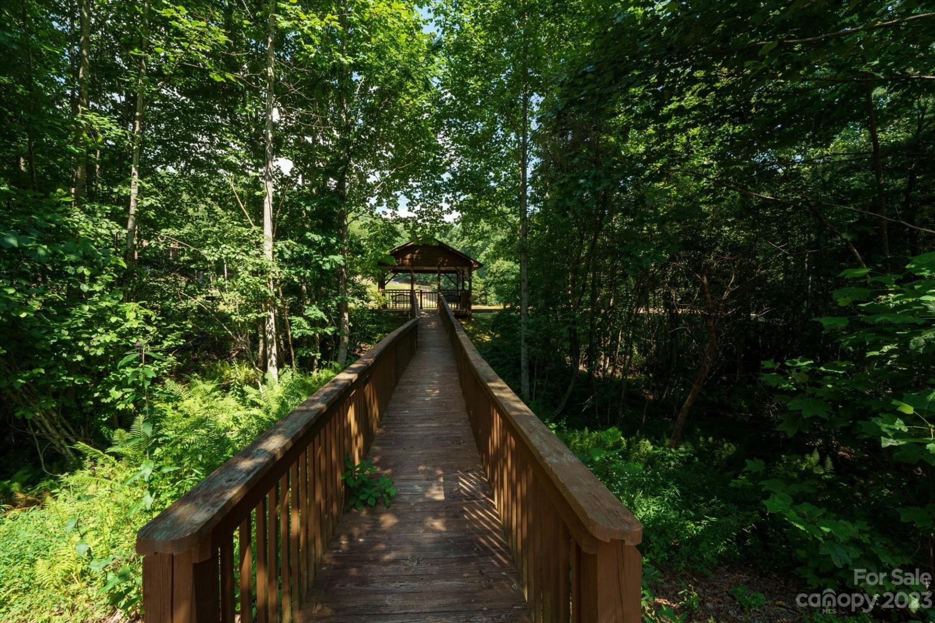 317 Boundary Tree Pass #14 - Photo 7