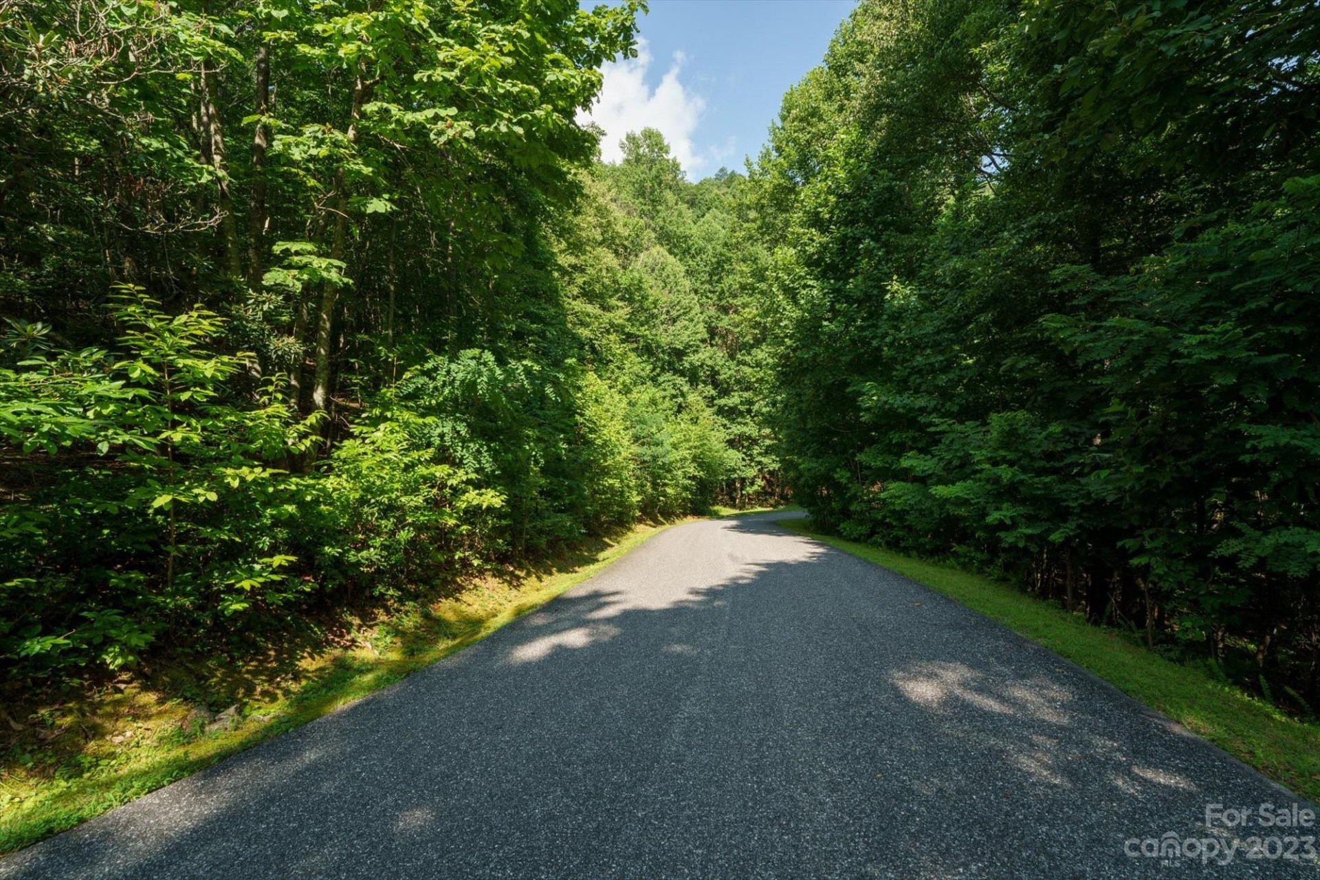 317 Boundary Tree Pass #14 - Photo 8