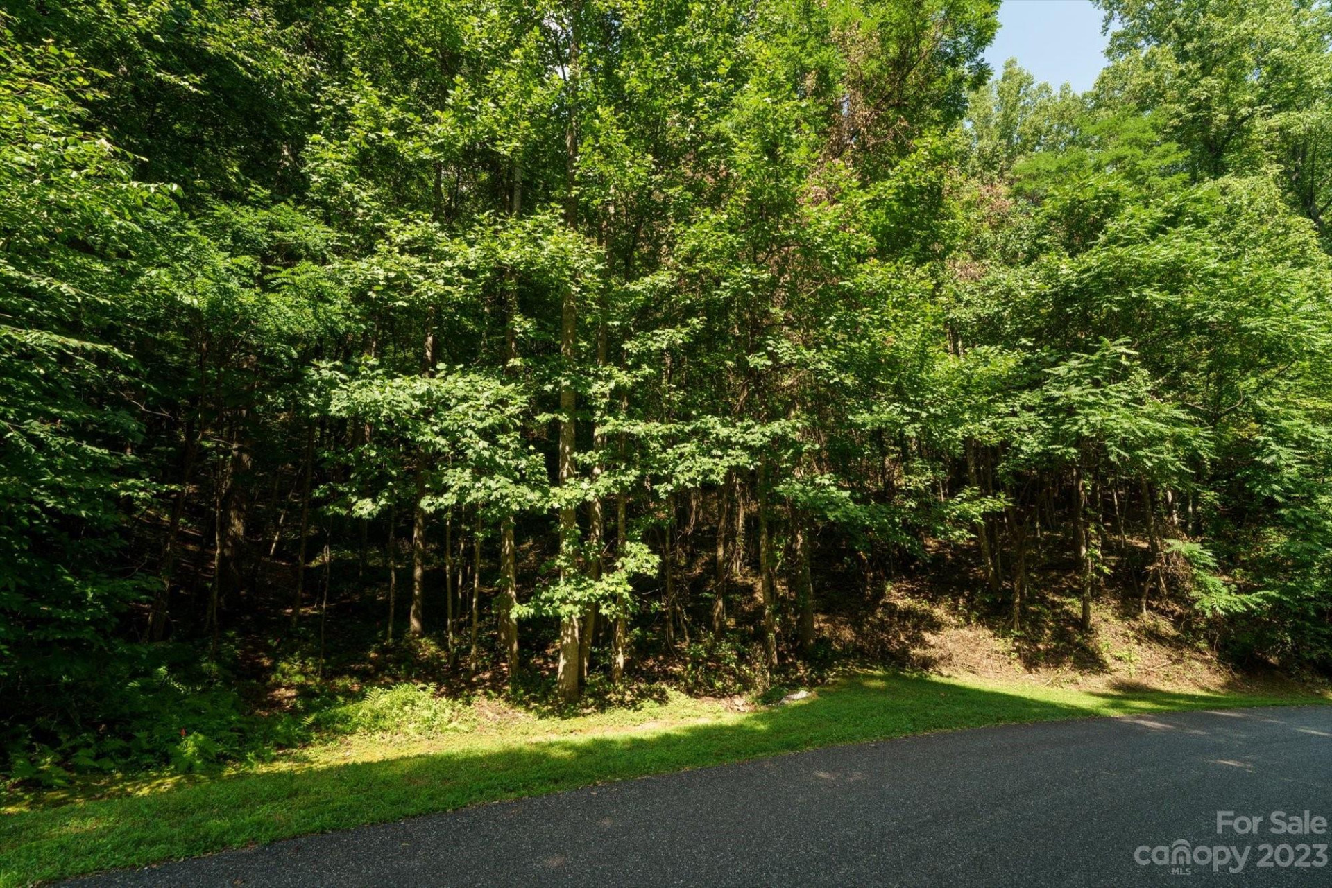 317 Boundary Tree Pass #14 - Photo 9