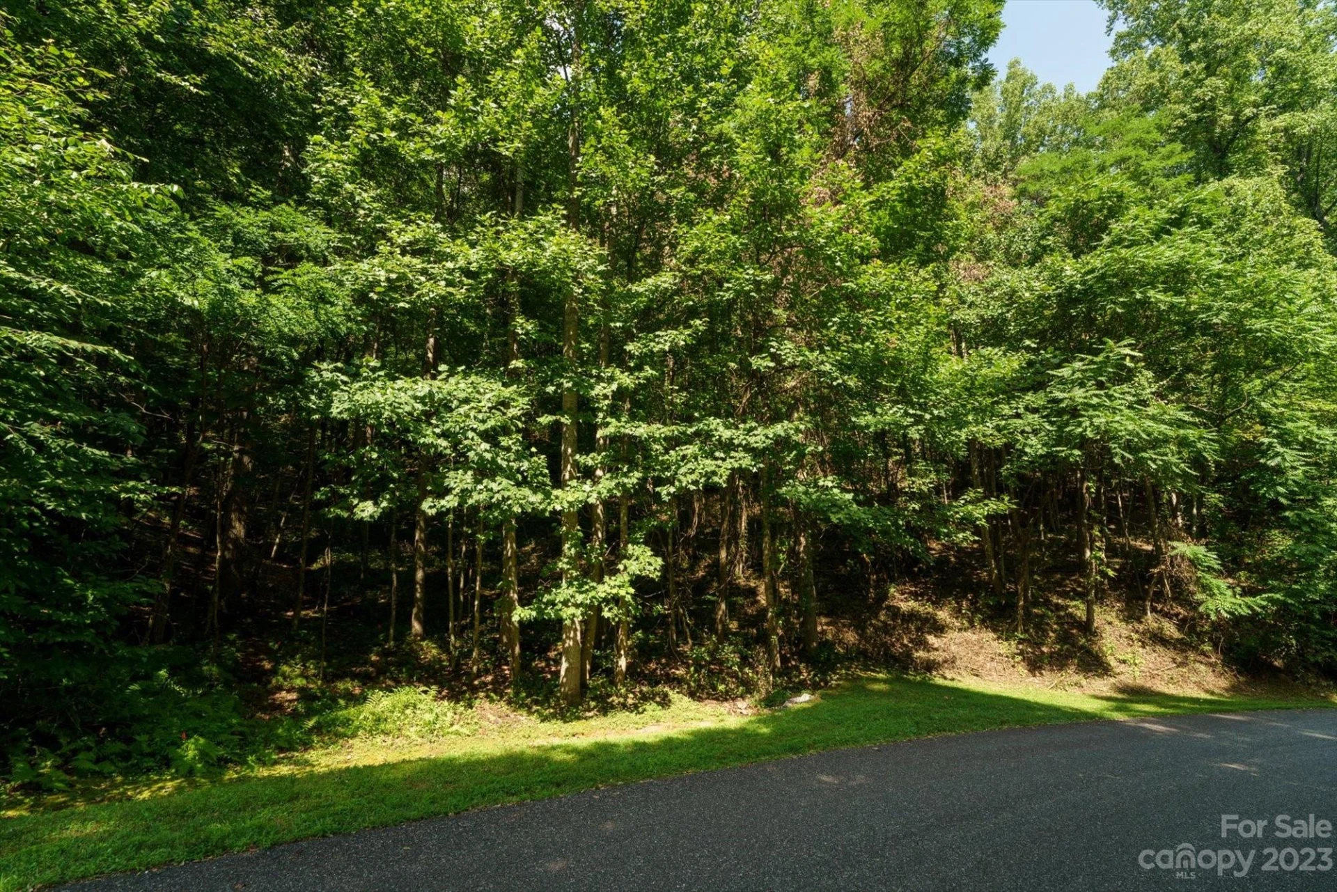 317 Boundary Tree Pass #14 - Photo 9
