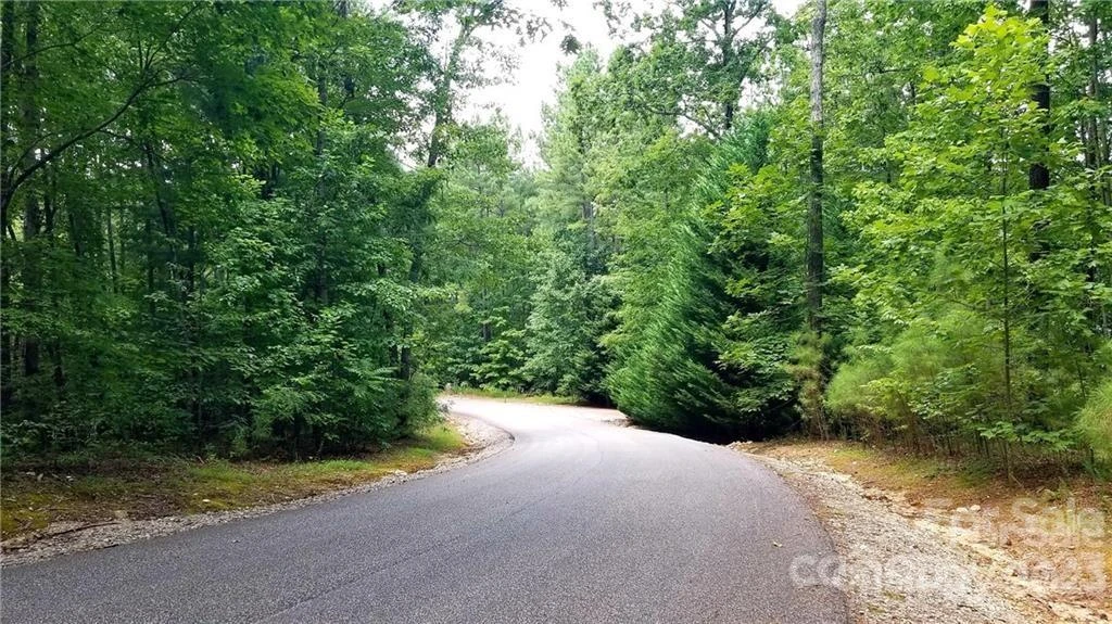 TBD Brindlewood Drive #60V - Photo 12