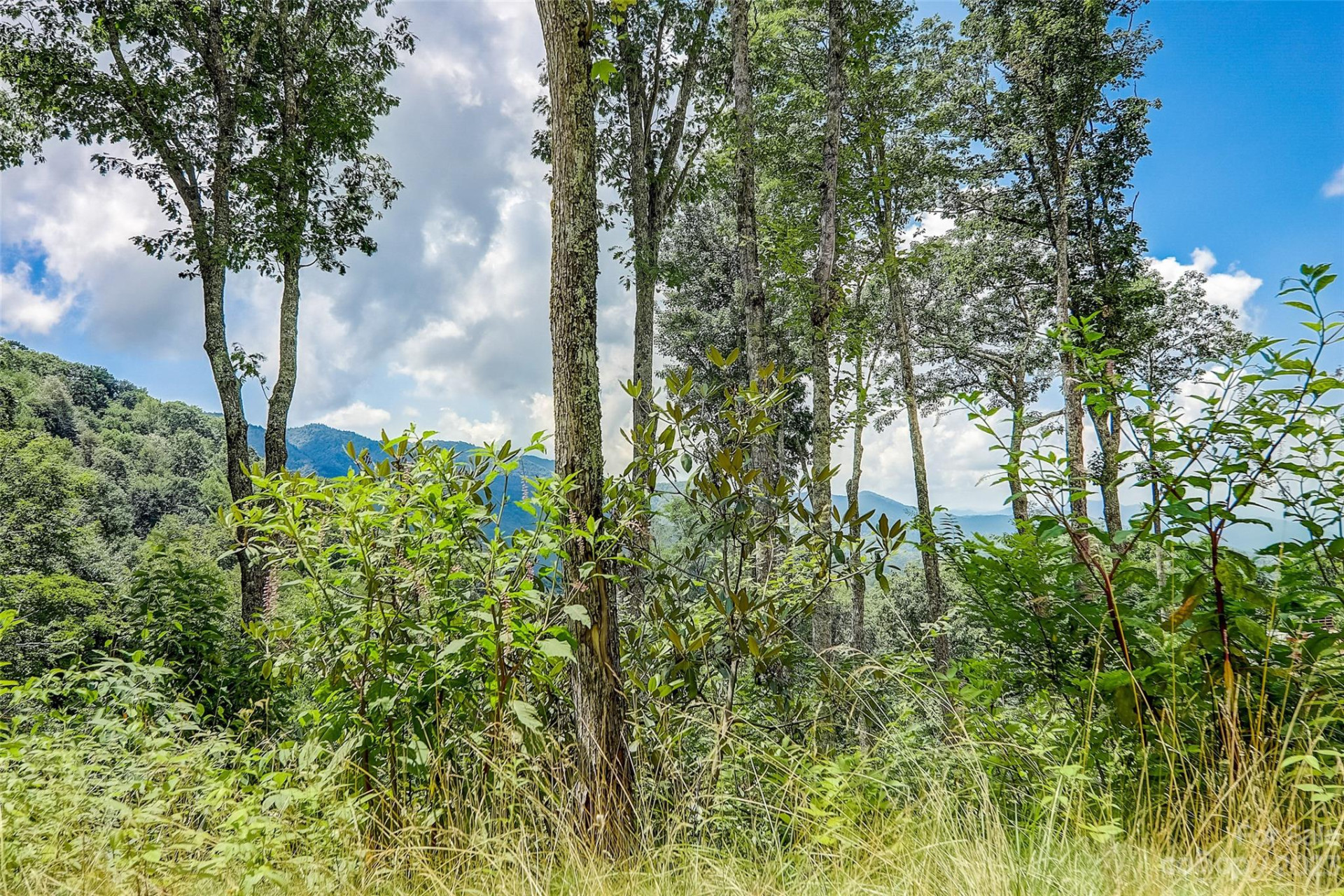 0 Centurian Lane #26 - Photo 2