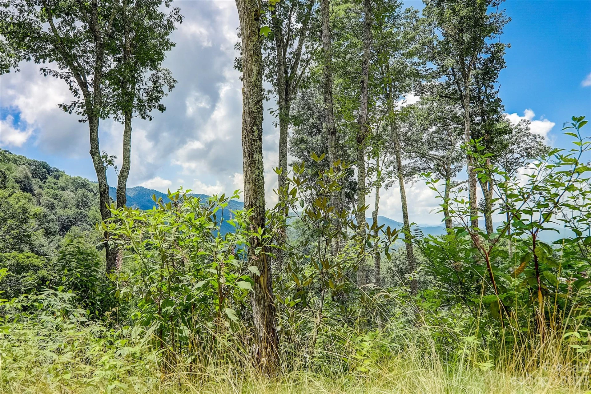 0 Centurian Lane #26 - Photo 2