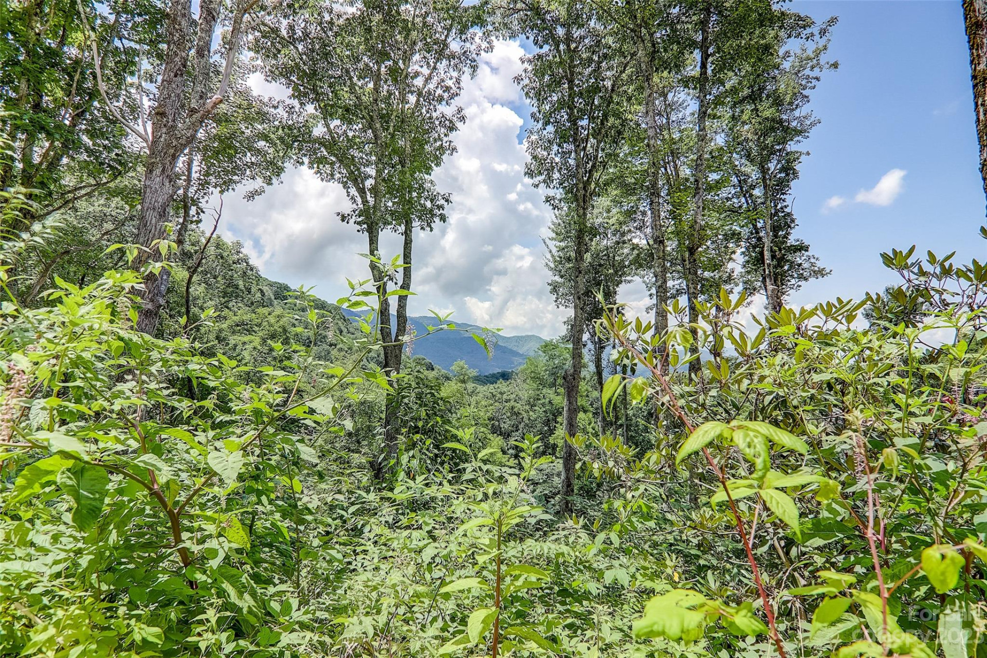 0 Centurian Lane #26 - Photo 3