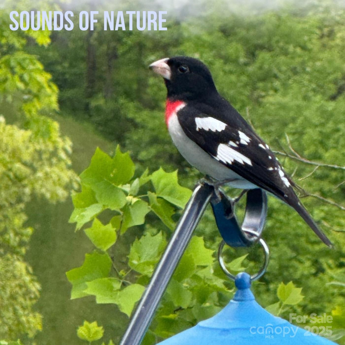 580 Freemont Drive - Photo 40