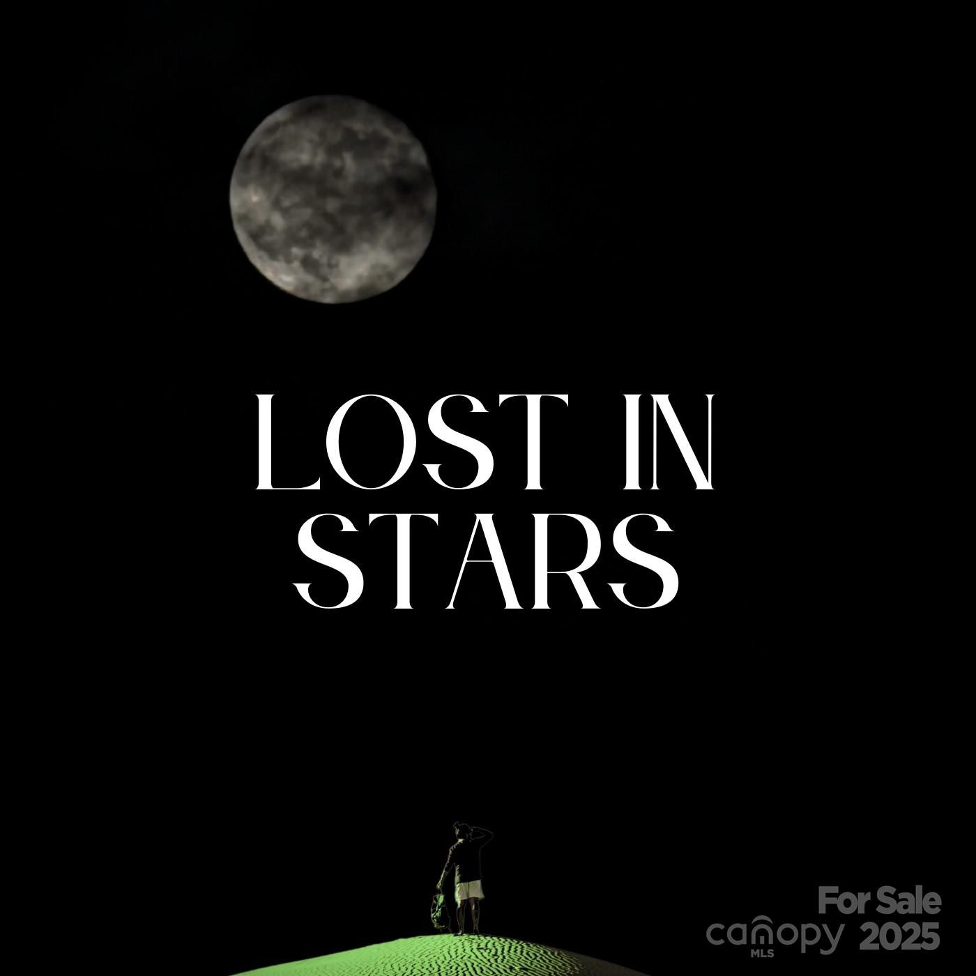 580 Freemont Drive - Photo 46