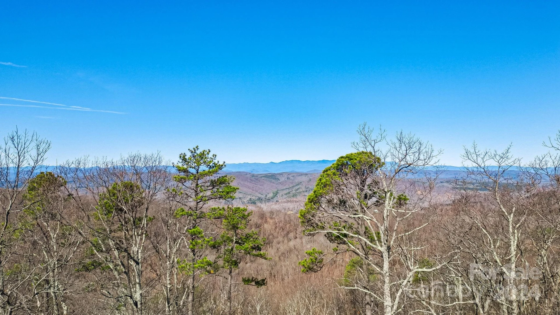 0000 Locust Road - Photo 11