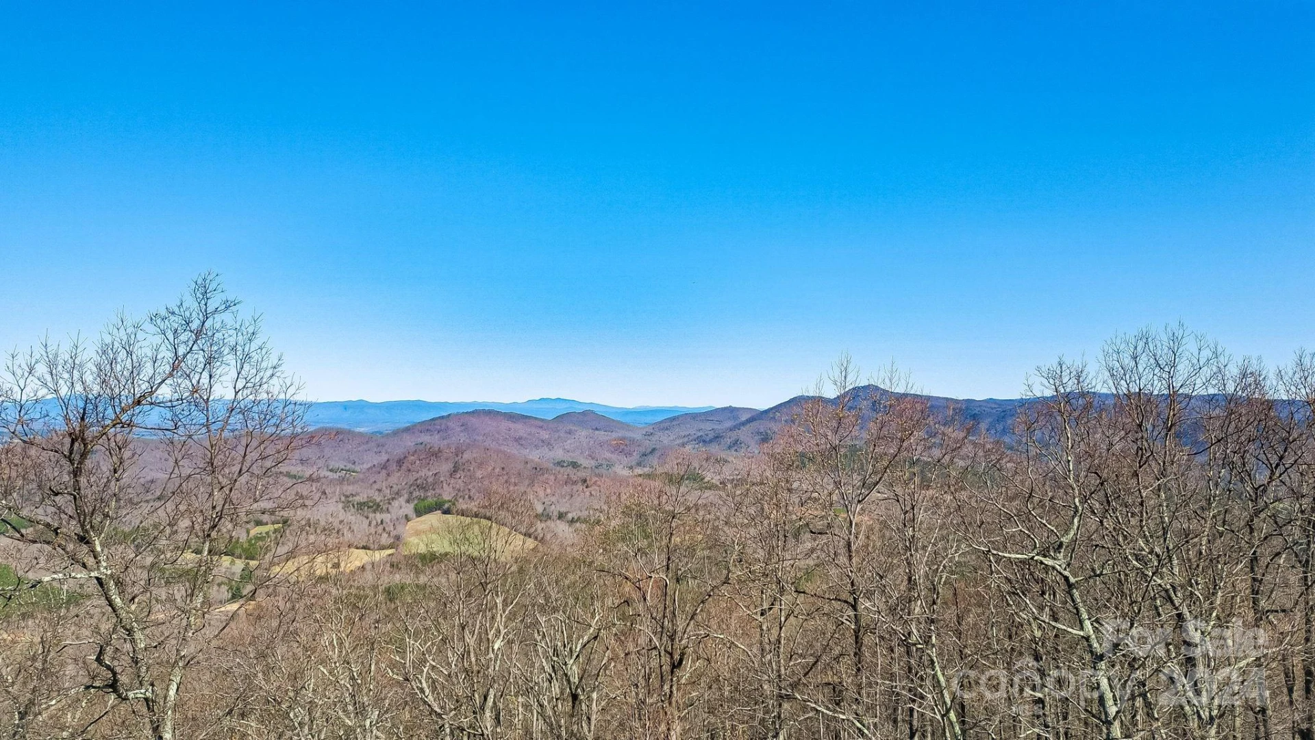 0000 Locust Road - Photo 12