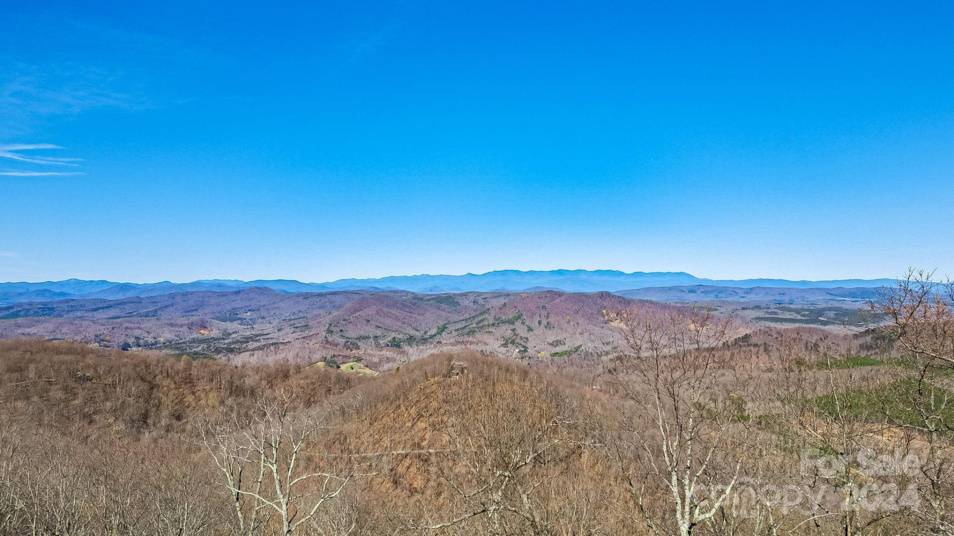 0000 Locust Road - Photo 13