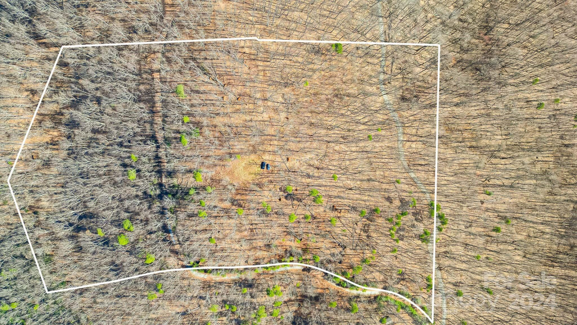 0000 Locust Road - Photo 4