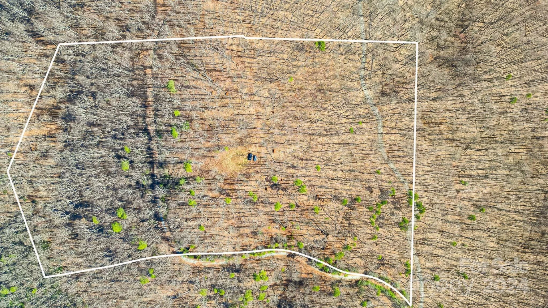 0000 Locust Road - Photo 4