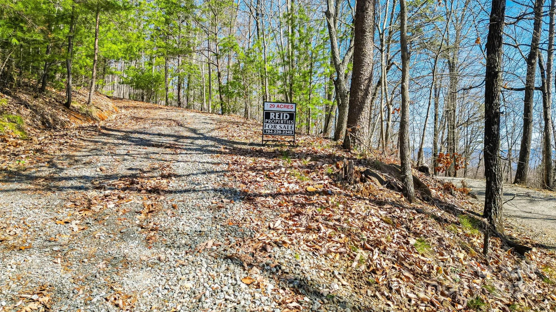 0000 Locust Road - Photo 7