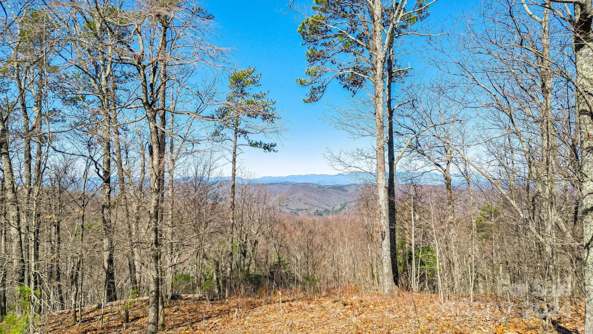 0000 Locust Road - Photo 8
